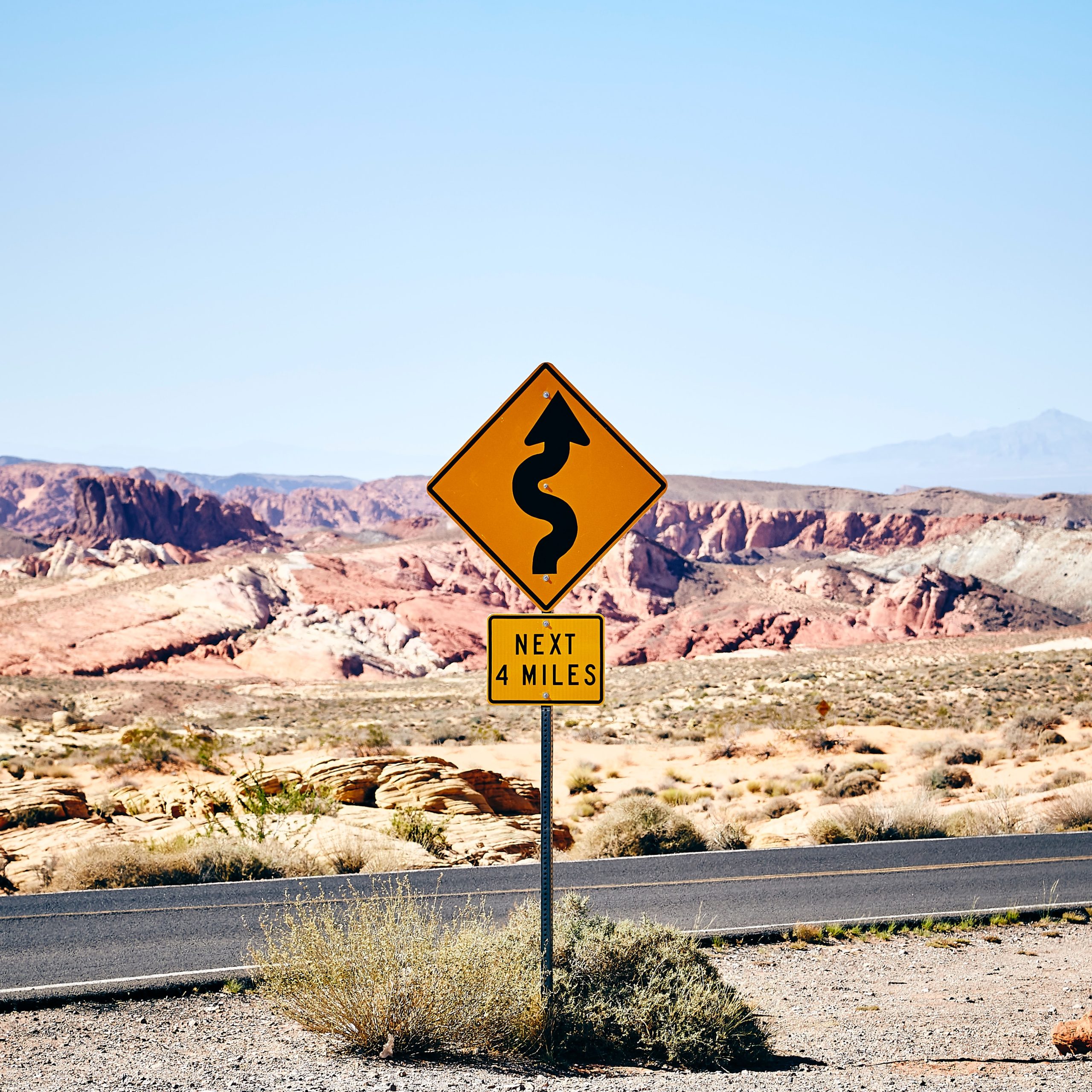 Winding road, marketing decisions